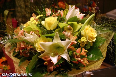 ФЛОРИСТИКА (1)