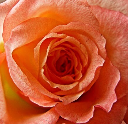 Взрыв разума