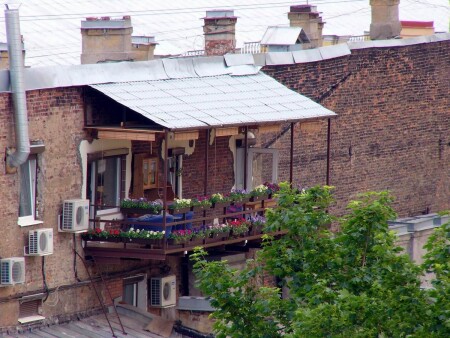 Уголок зелени