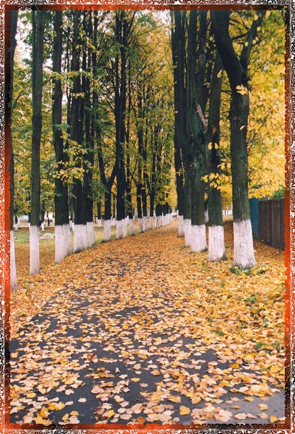Аллея