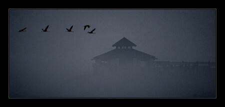 In the foggy Morning...........