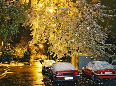 Ночной двор