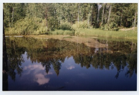 Небесное отражение