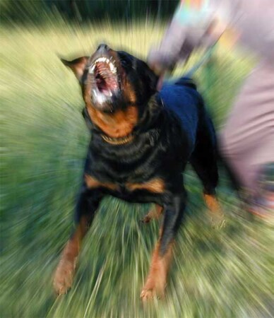 Поцелуй для Женечки....