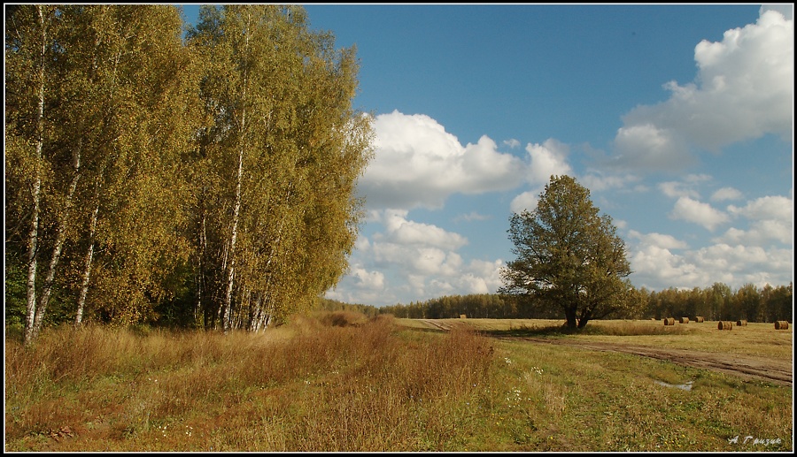 БАБЬЕ ЛЕТО