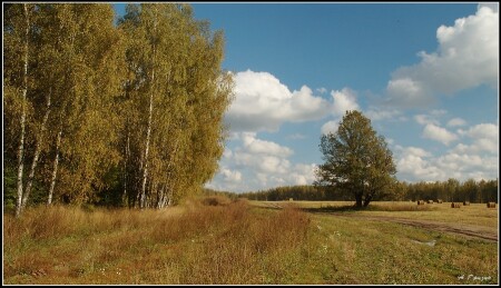 БАБЬЕ ЛЕТО
