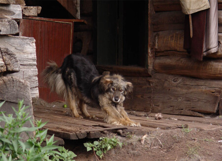 Кнопка