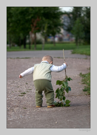 Забодал мэр... &quot;Мой город!&quot;.... Подметай город....