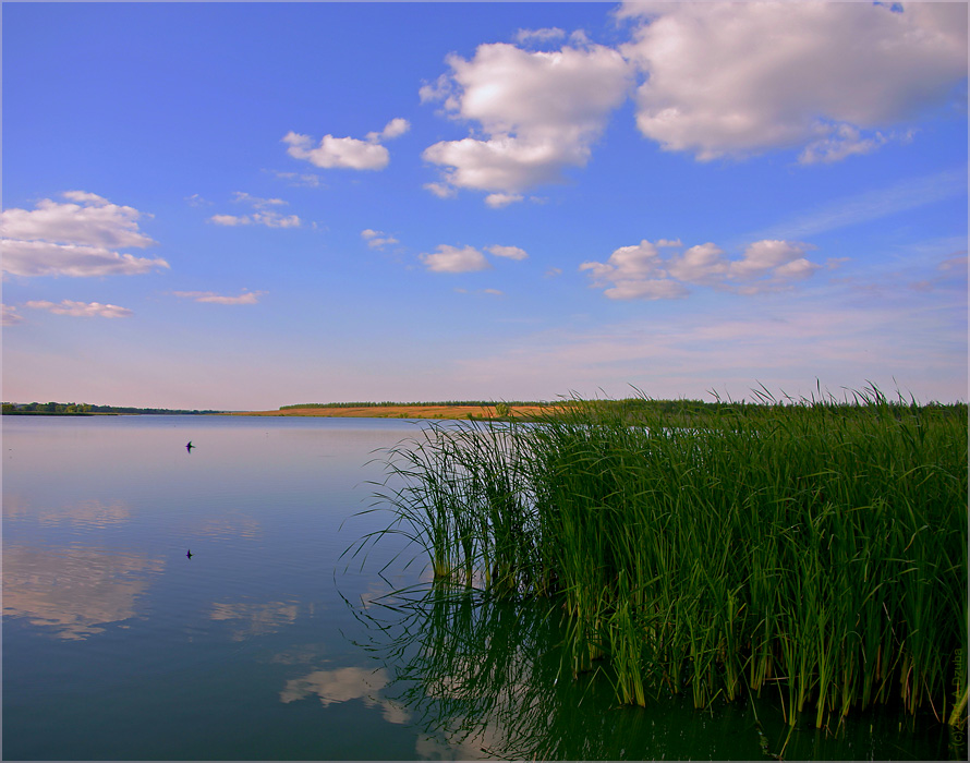 Лазурь