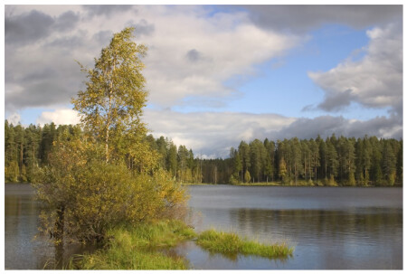 одиночество