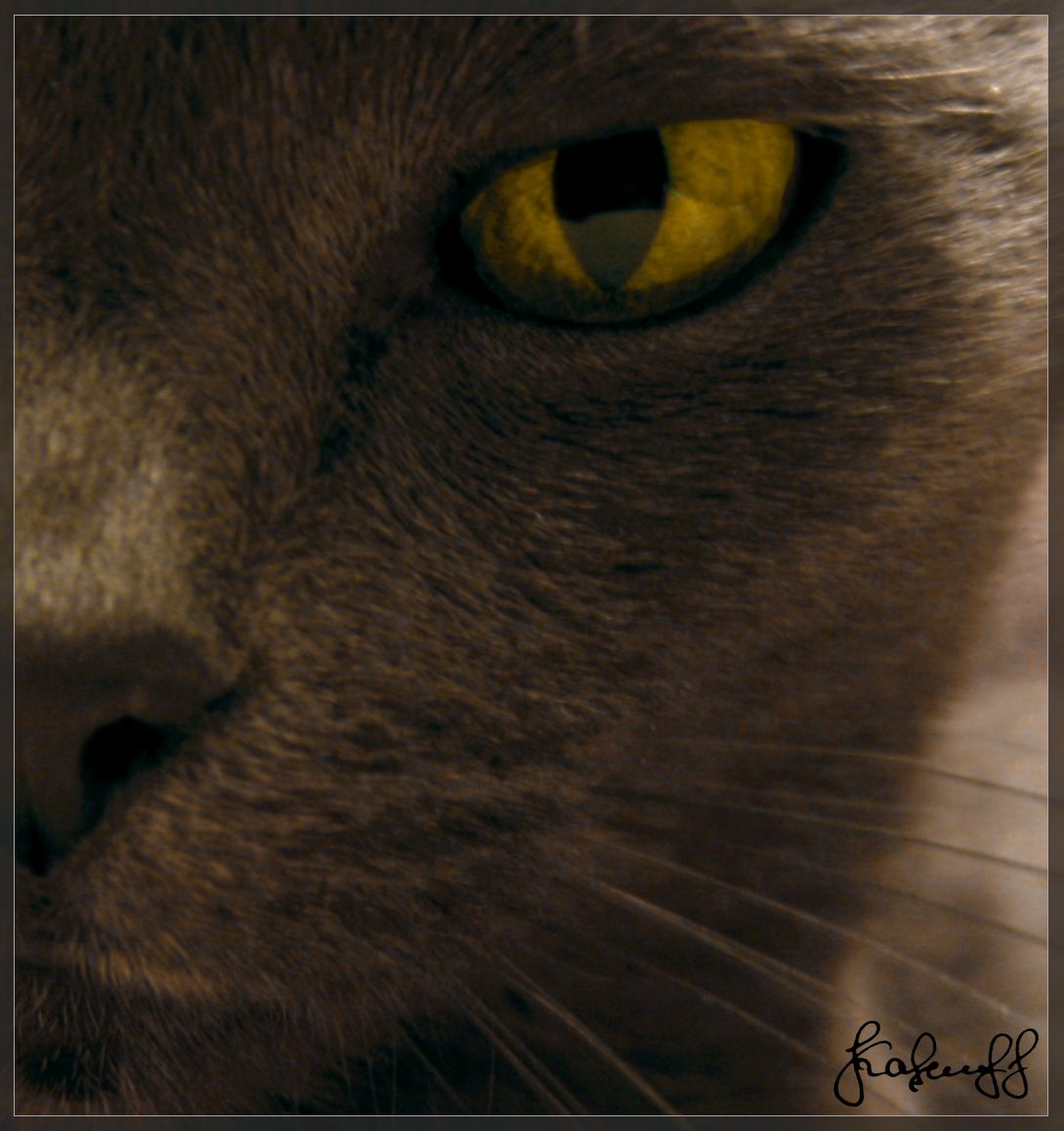 -Кош-