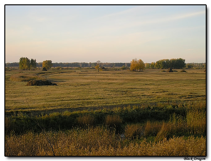 Осень в полях