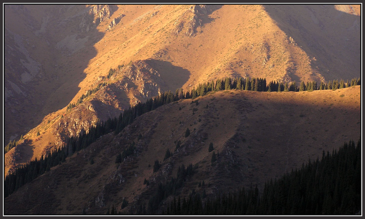 Хребтина &quot;a la autumn&quot; (по дороге на Алматинское озеро)