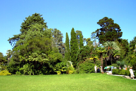 Зеленая природа