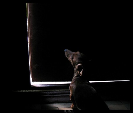 No exit...