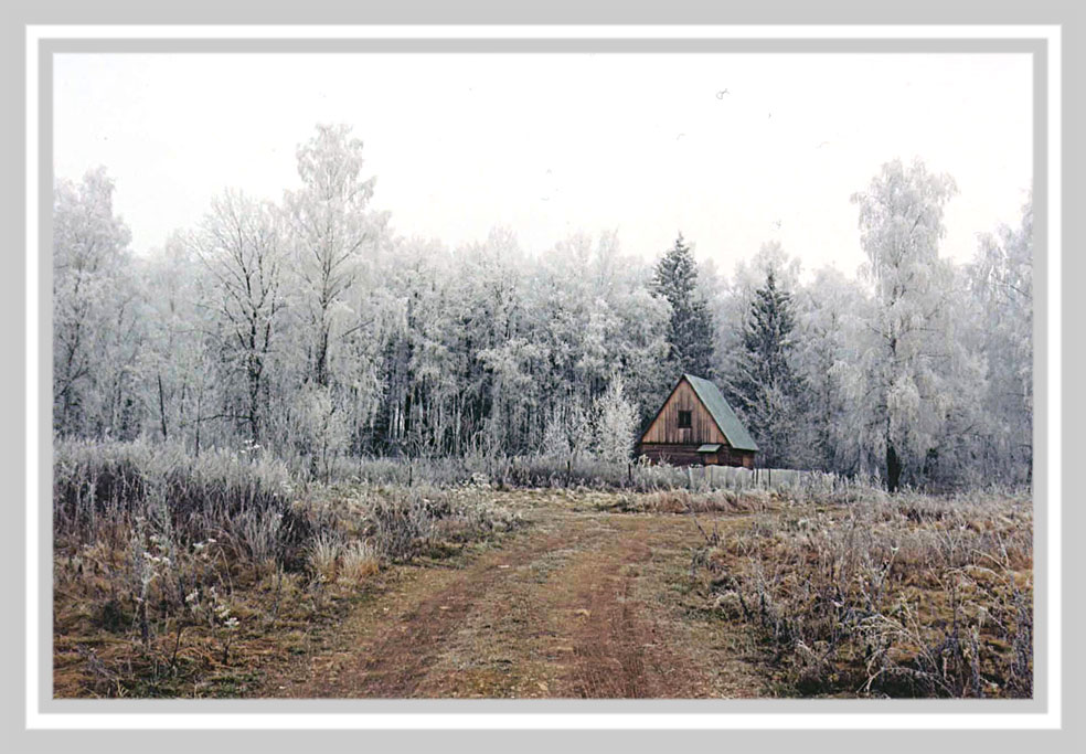 Домик в лесу