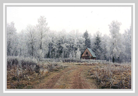 Домик в лесу
