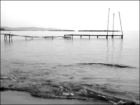The Bridge