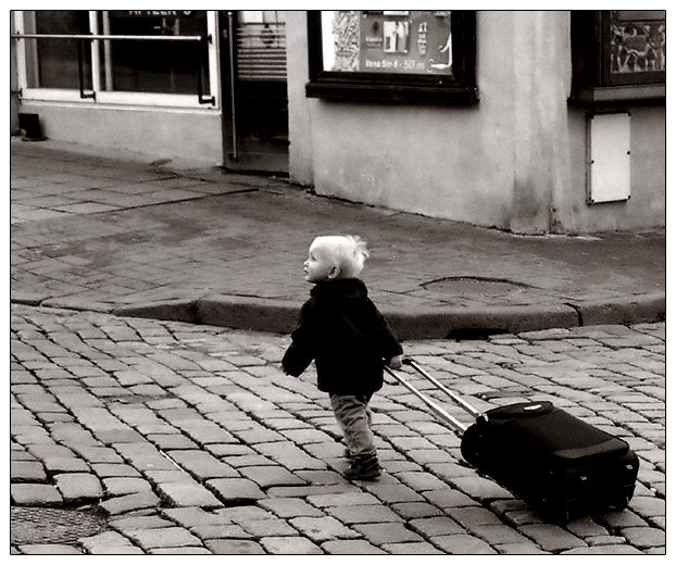universal traveller