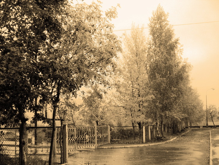 Осень на дворе