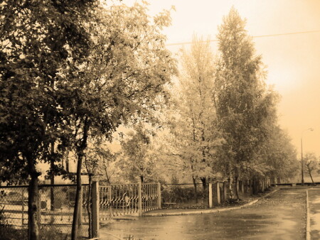 Осень на дворе