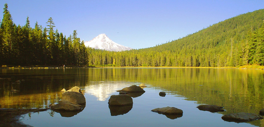 Водная гладь