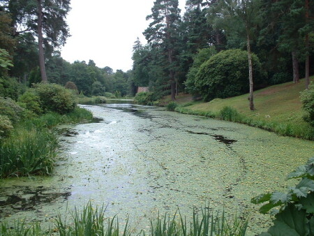 В тихом омуте...