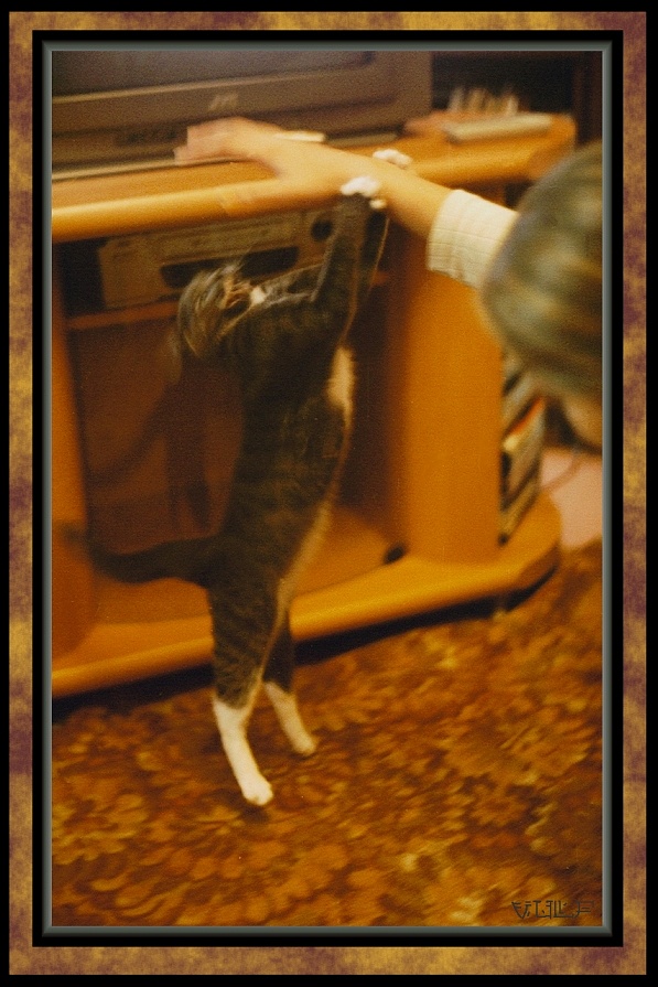 Прыжок