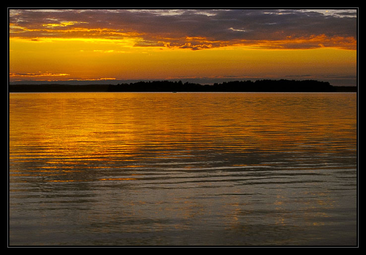 Liquid gold