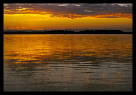 Liquid gold