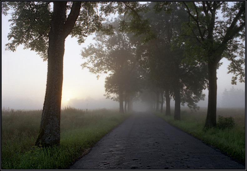 Mullpoland drive