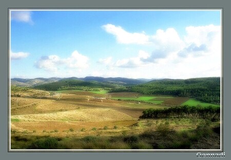 Photo in Israel