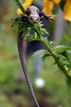 В глаза смотри!