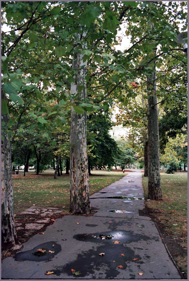 Осень.