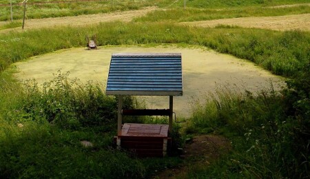 Затянулась мутной тиной гладь старинного пруда...