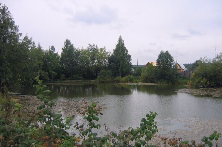 Осень