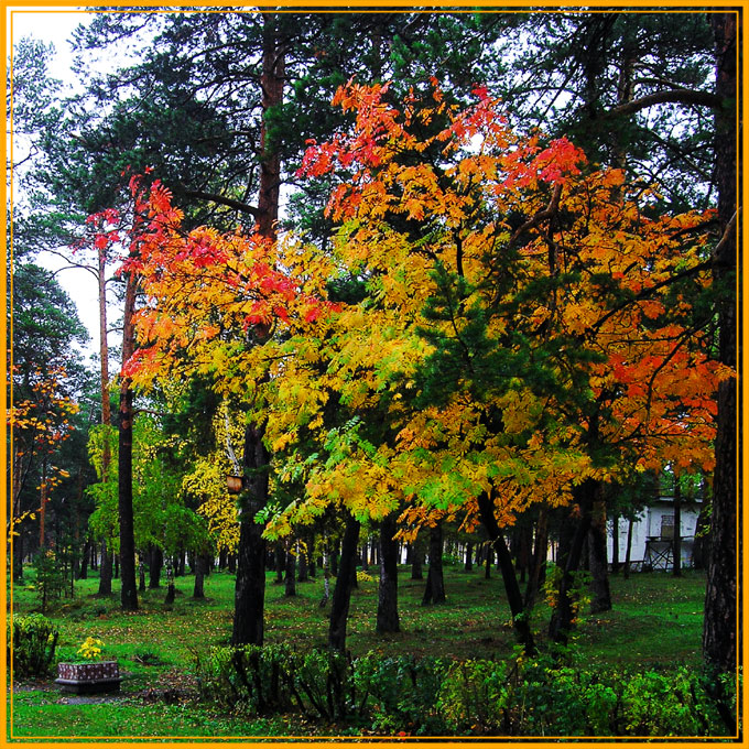 Снова про осень../ В осеннем парке, городском (2)/