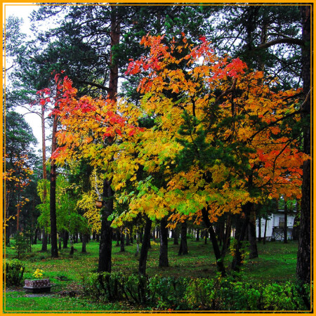 Снова про осень../ В осеннем парке, городском (2)/