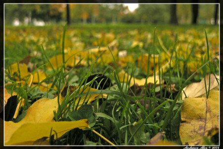 Осенние зарисовки [2]