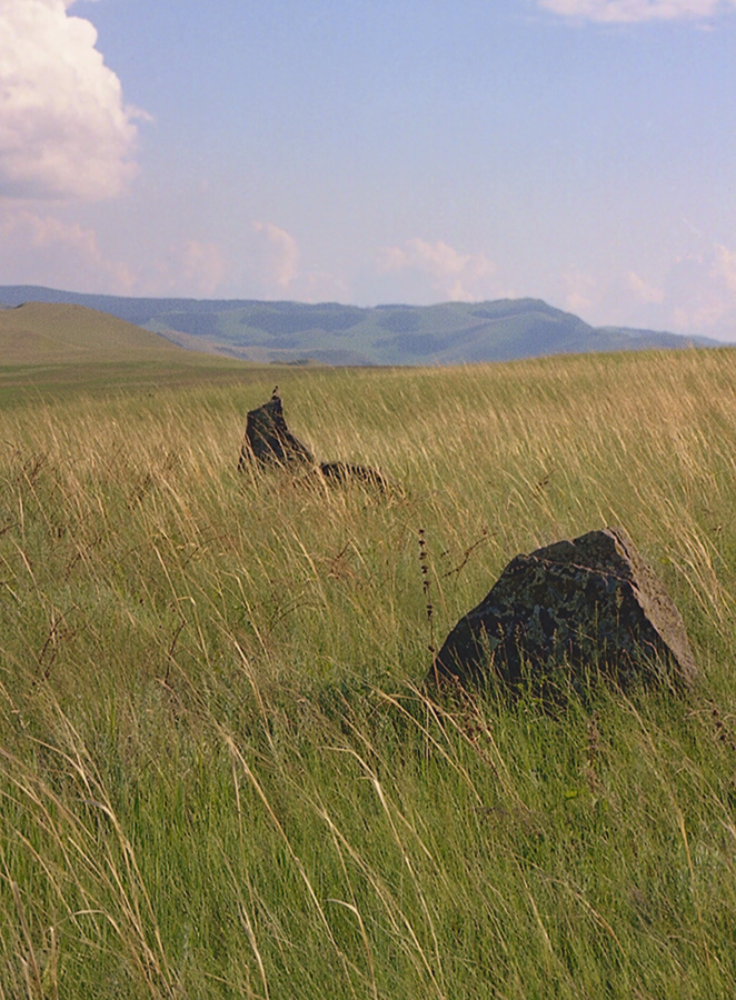 Степь, камни и маленькая птичка