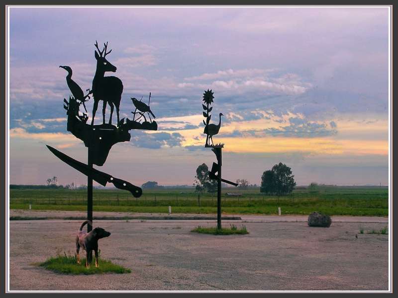 Зоопарк будущего