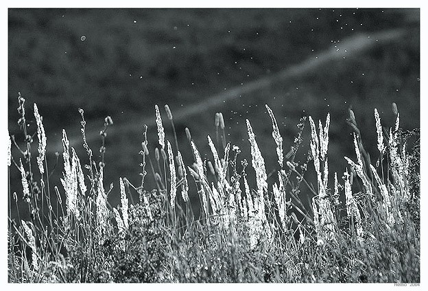 Dust and Air