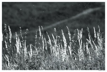 Dust and Air