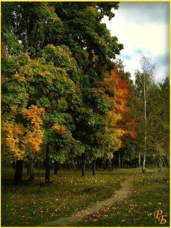 СиндиКен