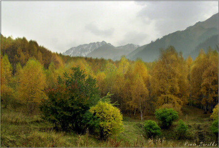 Пасмурная осень