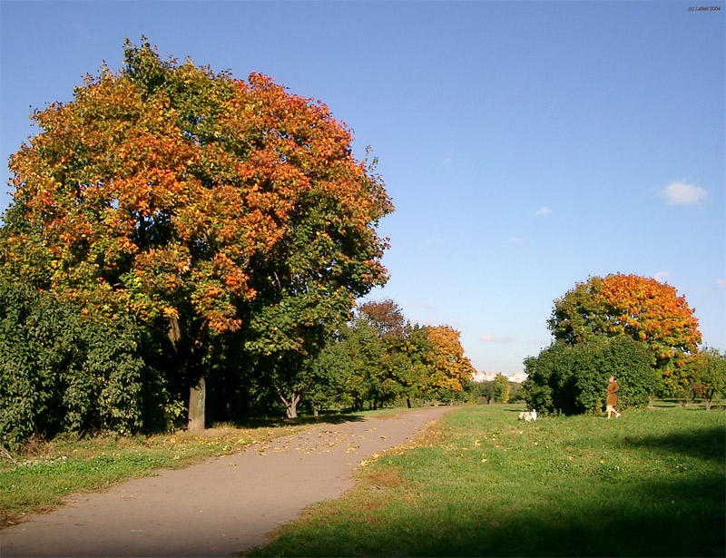 осенняя прогулка