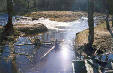 Улыбка природы