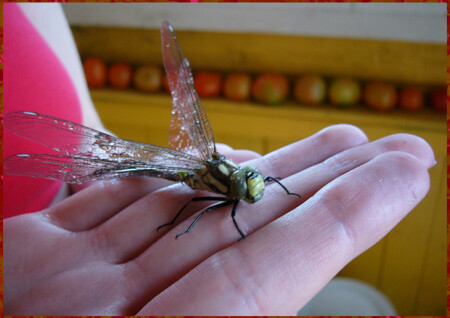 Намокнуть - смерти подобно...