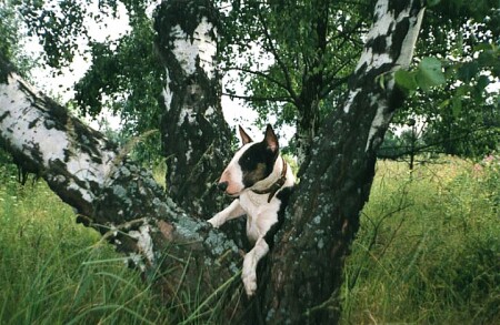 Чем бы заняться?