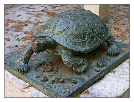 Mock-turtle